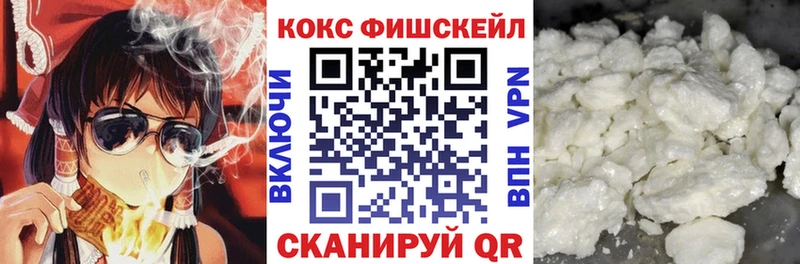 Cocaine FishScale  закладки  Нижний Новгород 