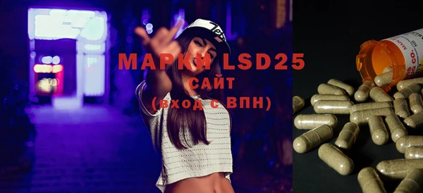 2c-b Бородино