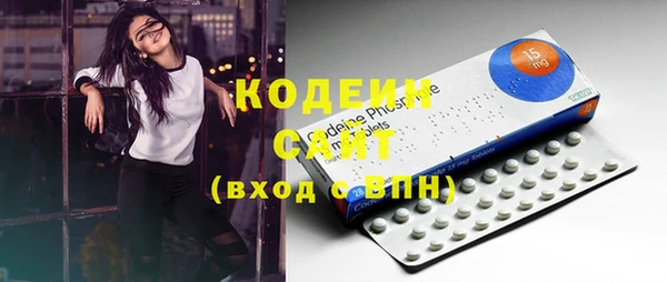 2c-b Бородино