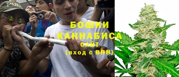 2c-b Бородино