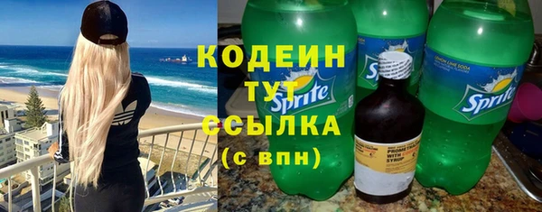 2c-b Бородино