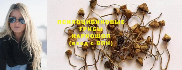 2c-b Бородино