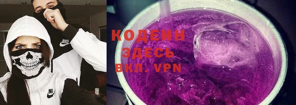 2c-b Бородино