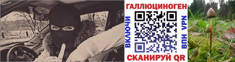 Галлюциногенные грибы Cubensis  Нижний Новгород 